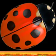 Marienkäfer Spielsymbole